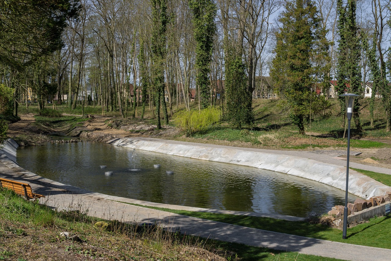 Park Grounds Mystery