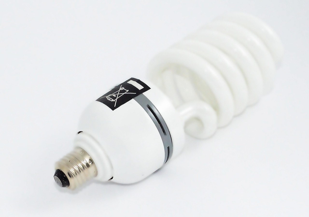 Fluorescent Light Bulb