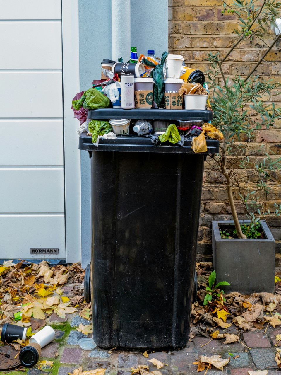 Accumulation of Trash, Debris, or Hoarding Creating Health Risks