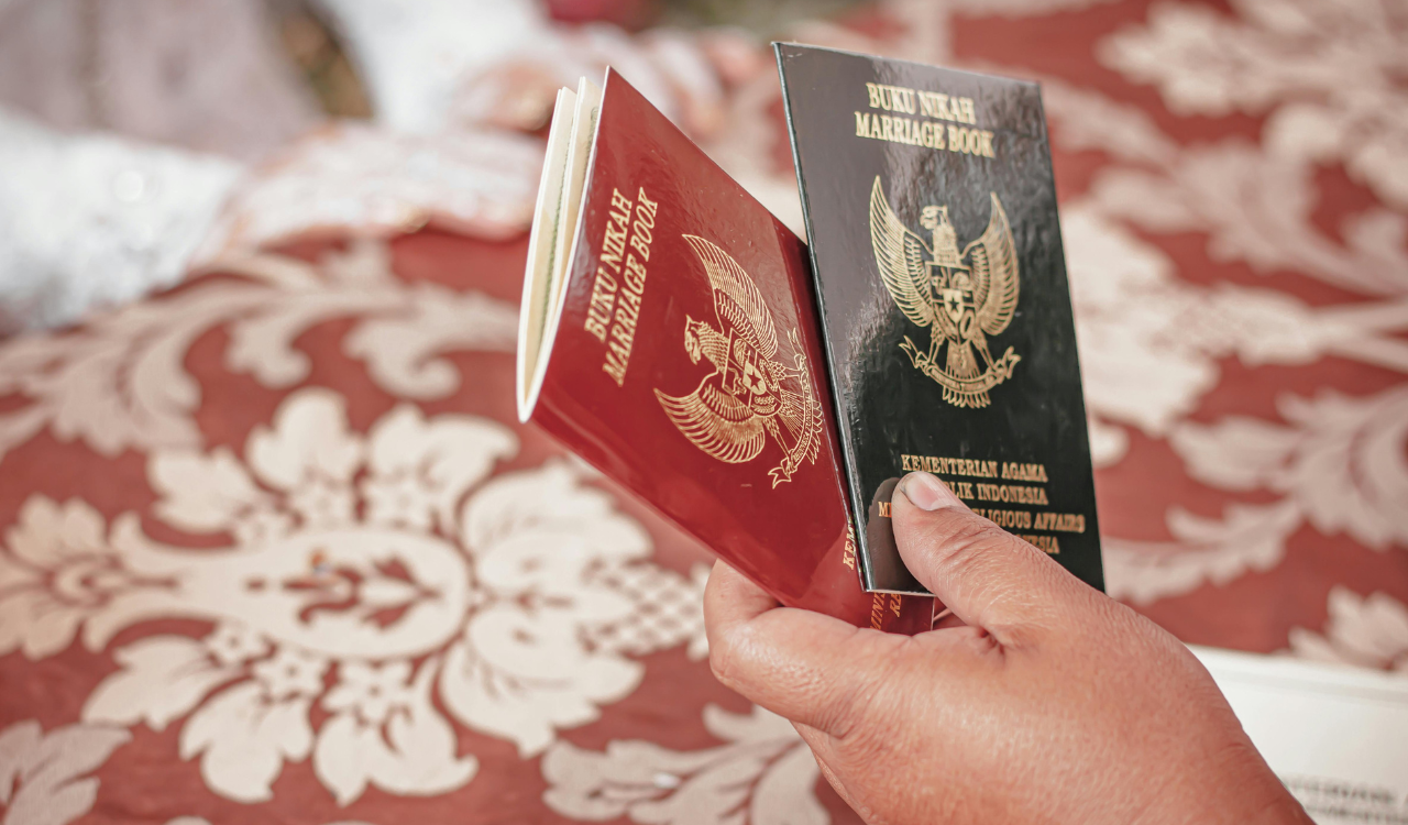 Passport and Border Control Barriers