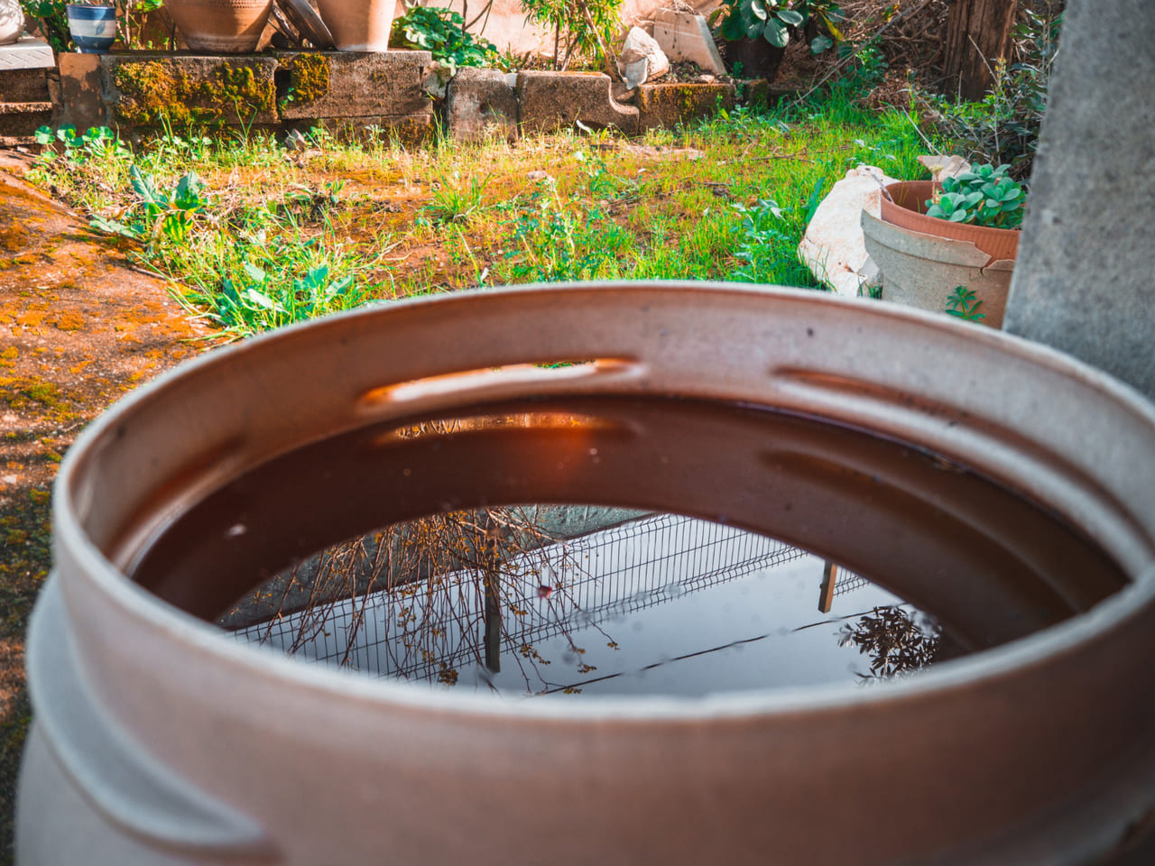 A rain barrel placed beside a home with downspout attachments visible.