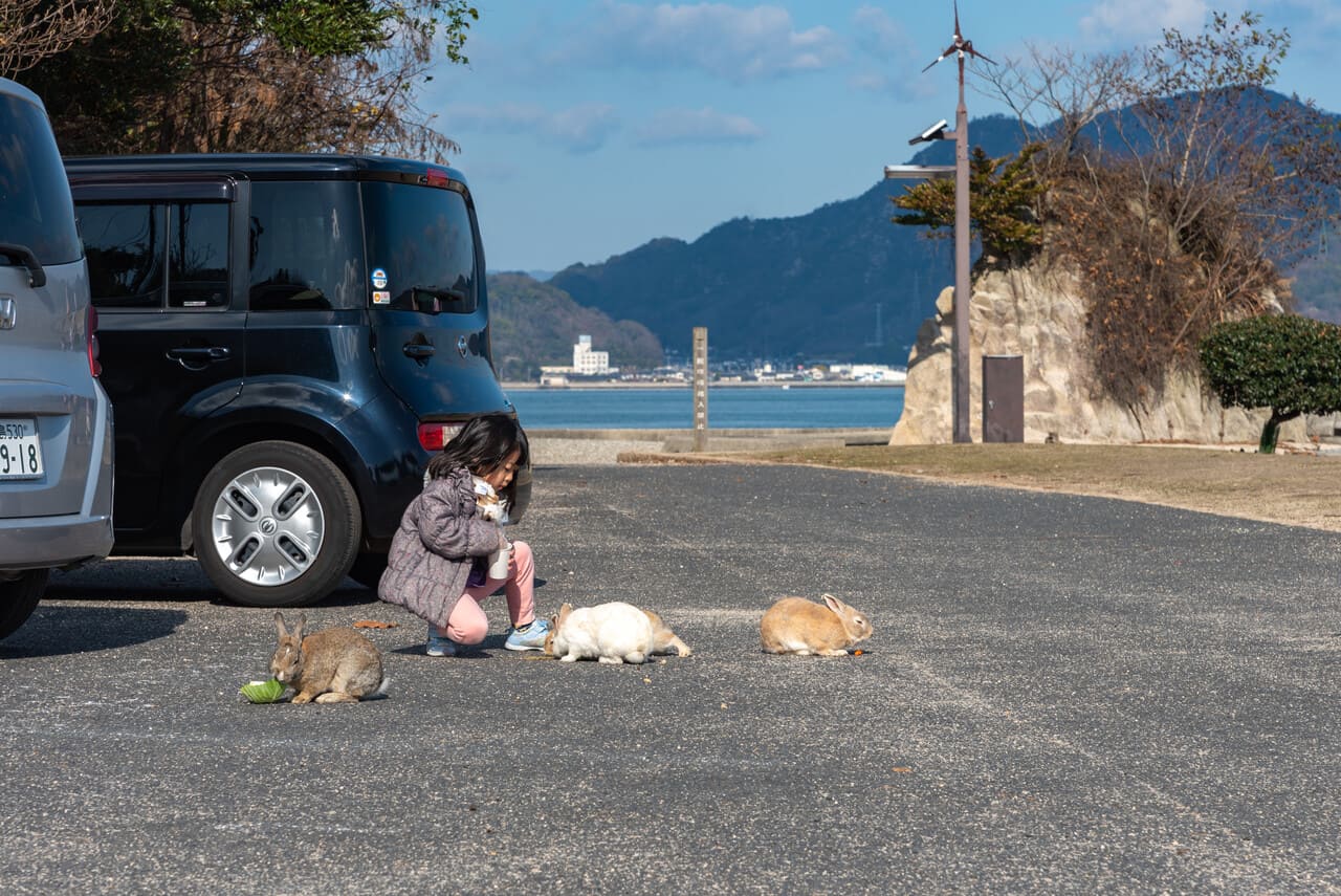 Okunoshima’s Overgrown Zones, Japan