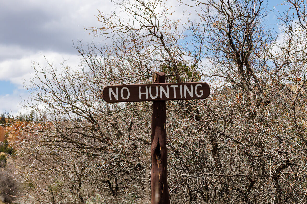No Hunting on Sundays