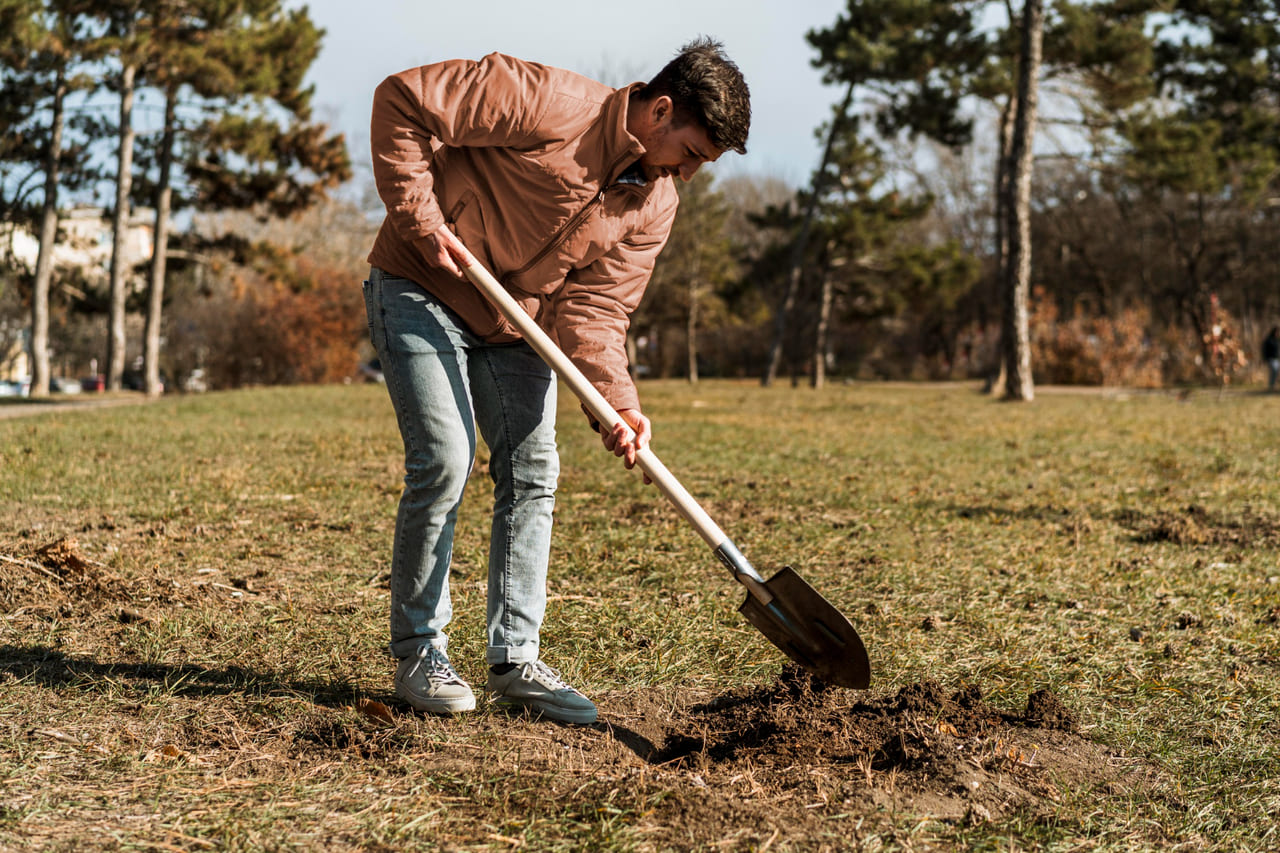 Utility marking flags or painted lines on a lawn near someone holding a shovel.