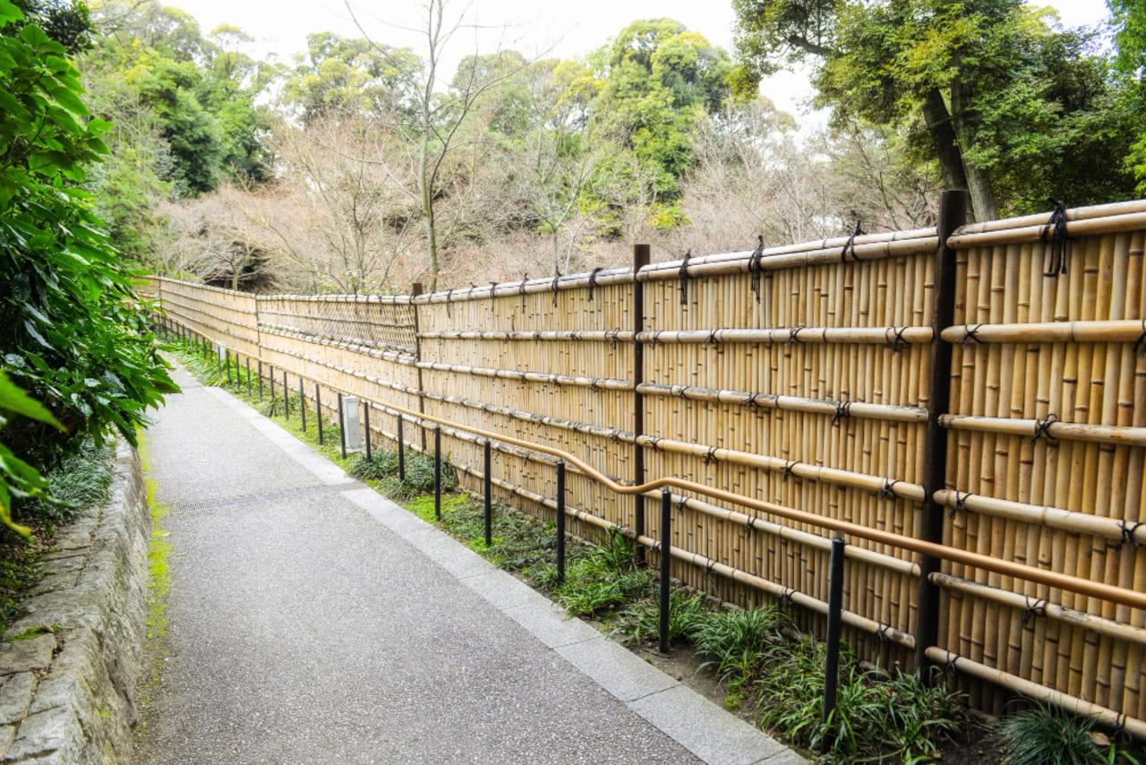A recently built tall wooden fence viewed from ground level near a property line.