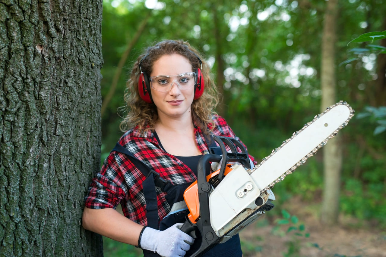 A photo of an arborist inspecting a large mature tree with measuring tools.