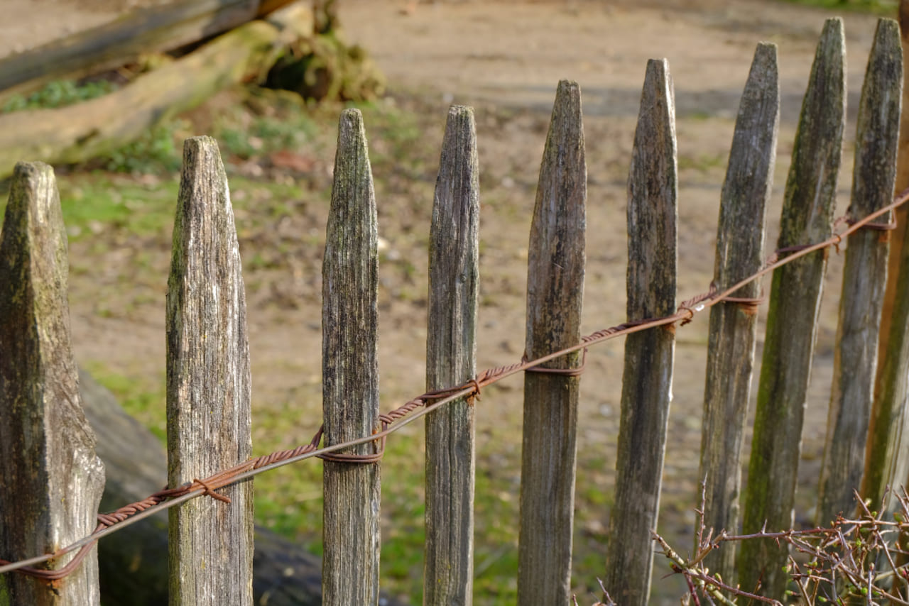 Fence posts being aligned with string markers.
