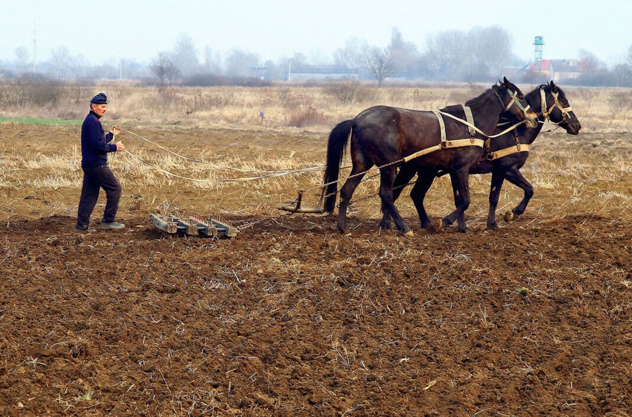 The Global Fertilizer Crisis You Never Learned About