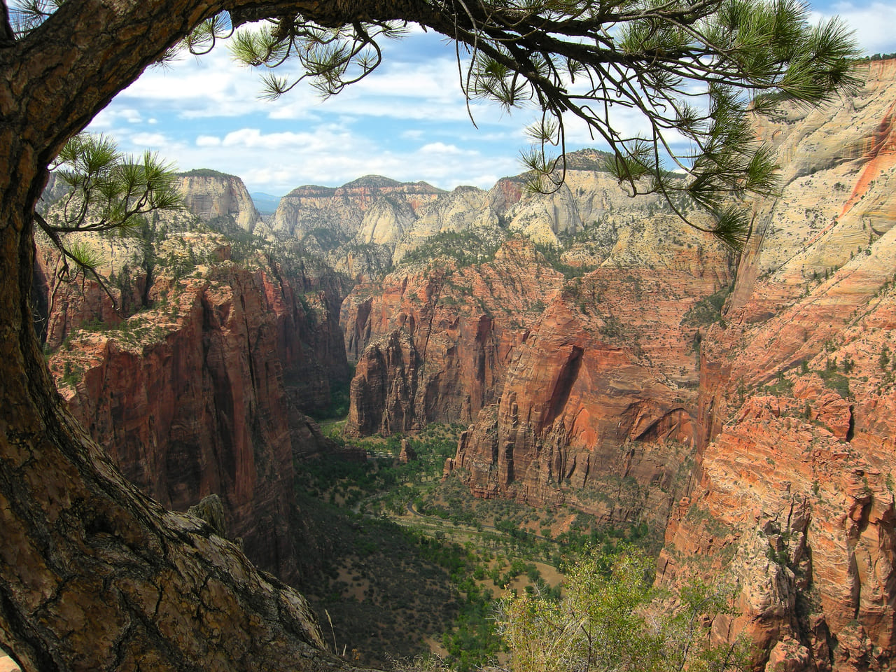 Angel’s Landing (Zion National Park, Utah, USA)