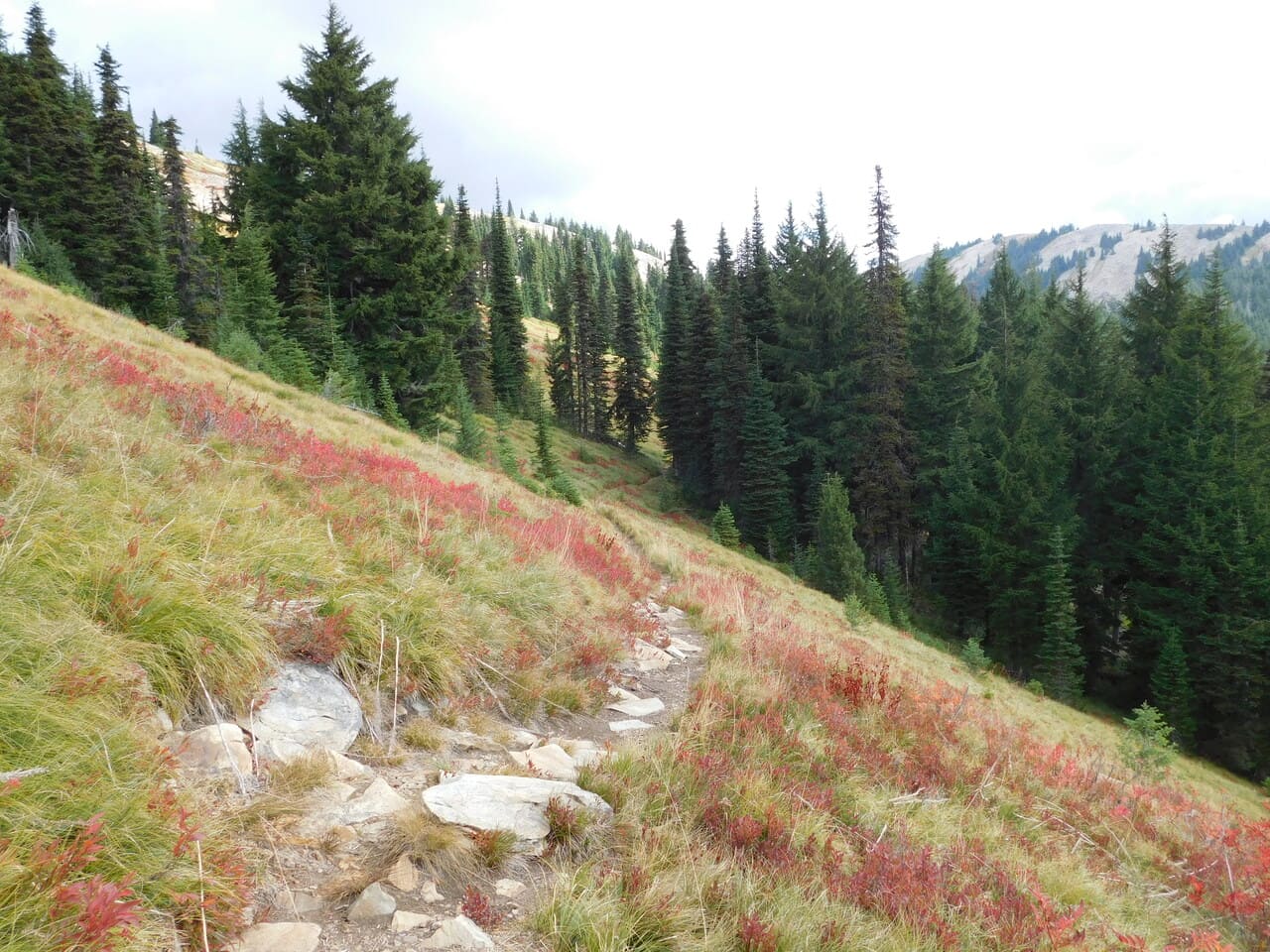 Crystal Lake Trail (Sequoia National Park, California)