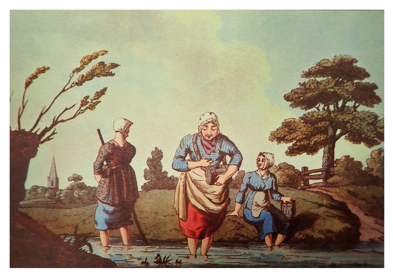 Leech Collector