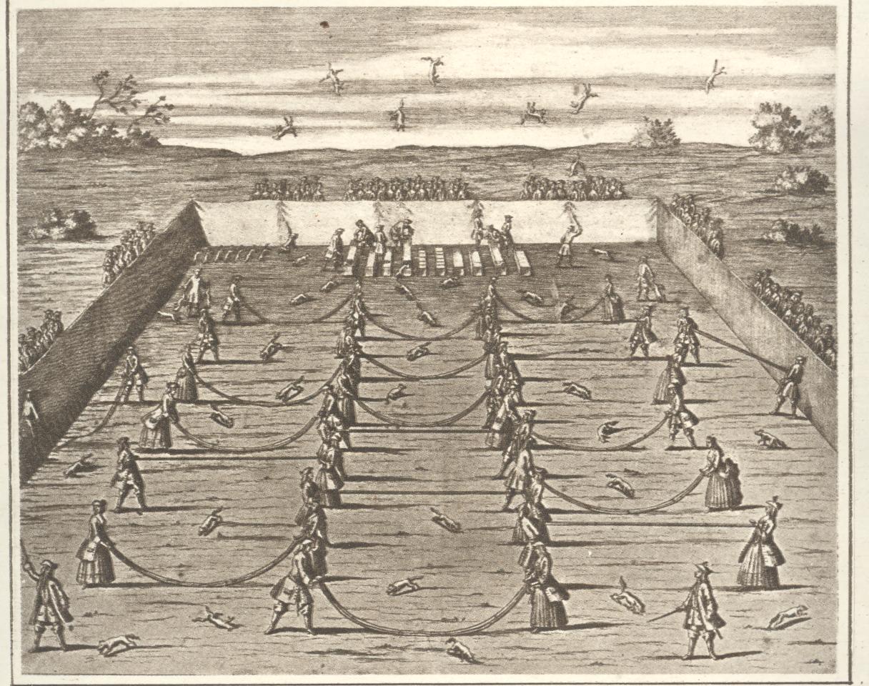 Fox tossing