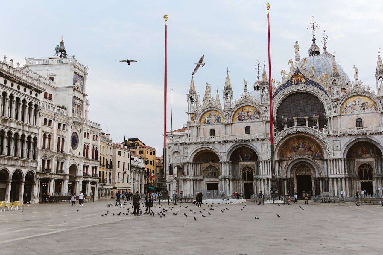 A Venice square with pigeons in the background and posted signs discouraging feeding.