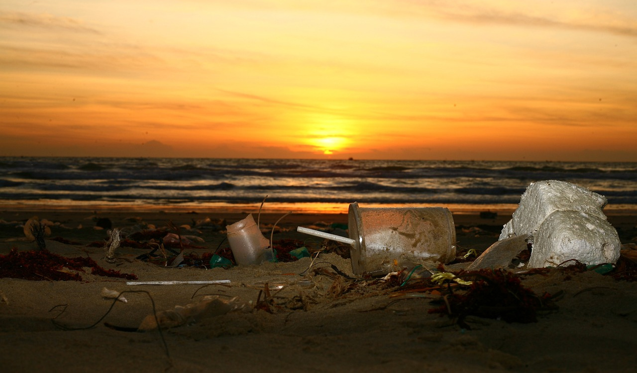 Leaving Trash or Food Waste Behind