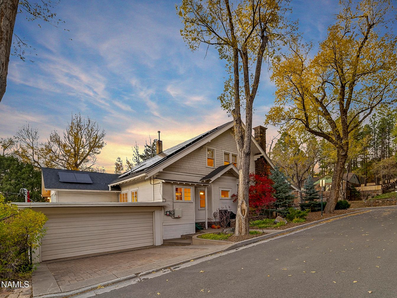 Wild Turkeys Owning Streets And Lawns