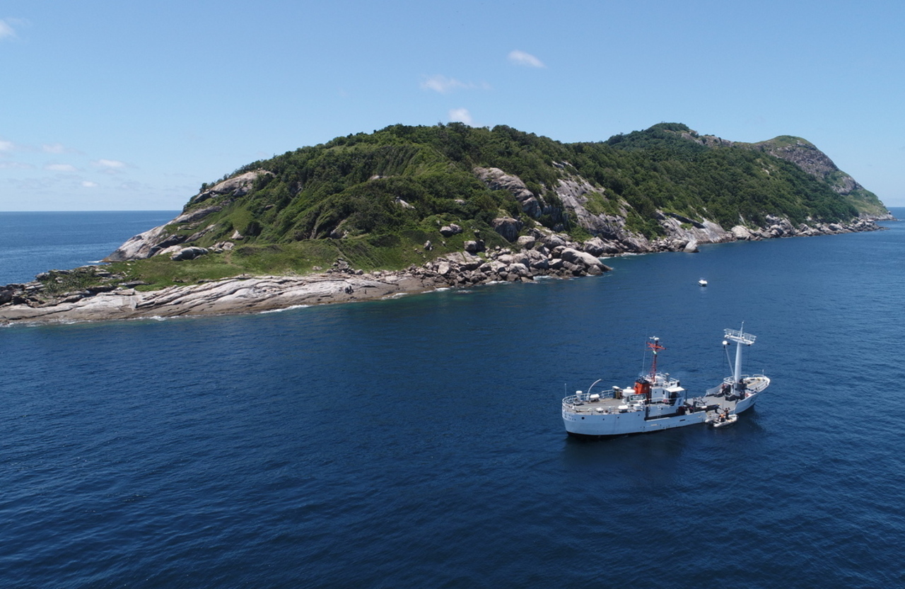 Snake Island, Brazil