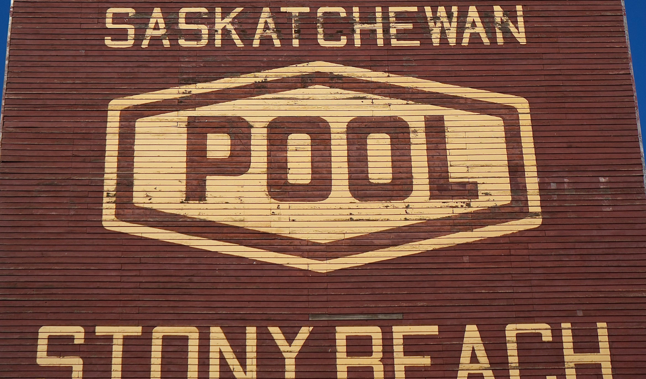 Pool Culture Shaped Popular Media