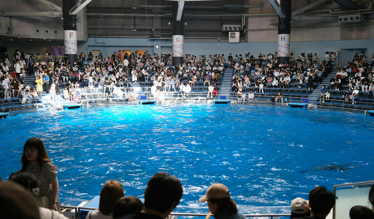 Pools Promoted Public Health and Hygiene