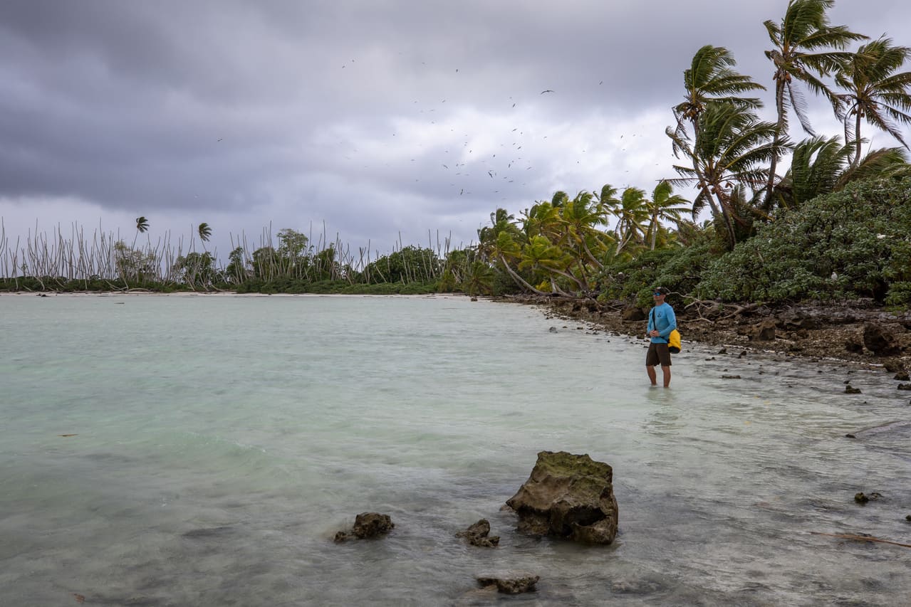 Palmyra Atoll, Pacific Ocean