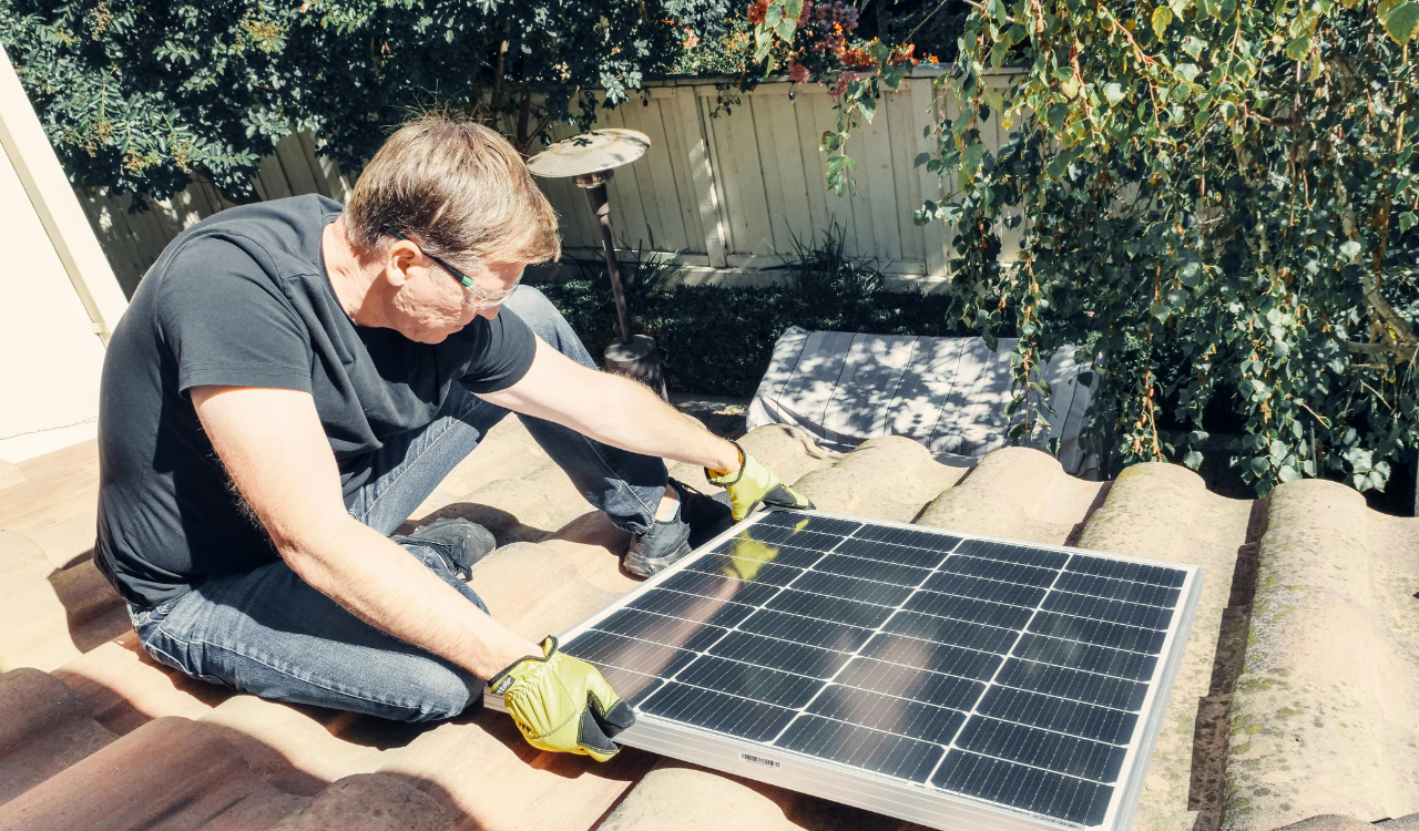 Solar Powered Lawn Lights