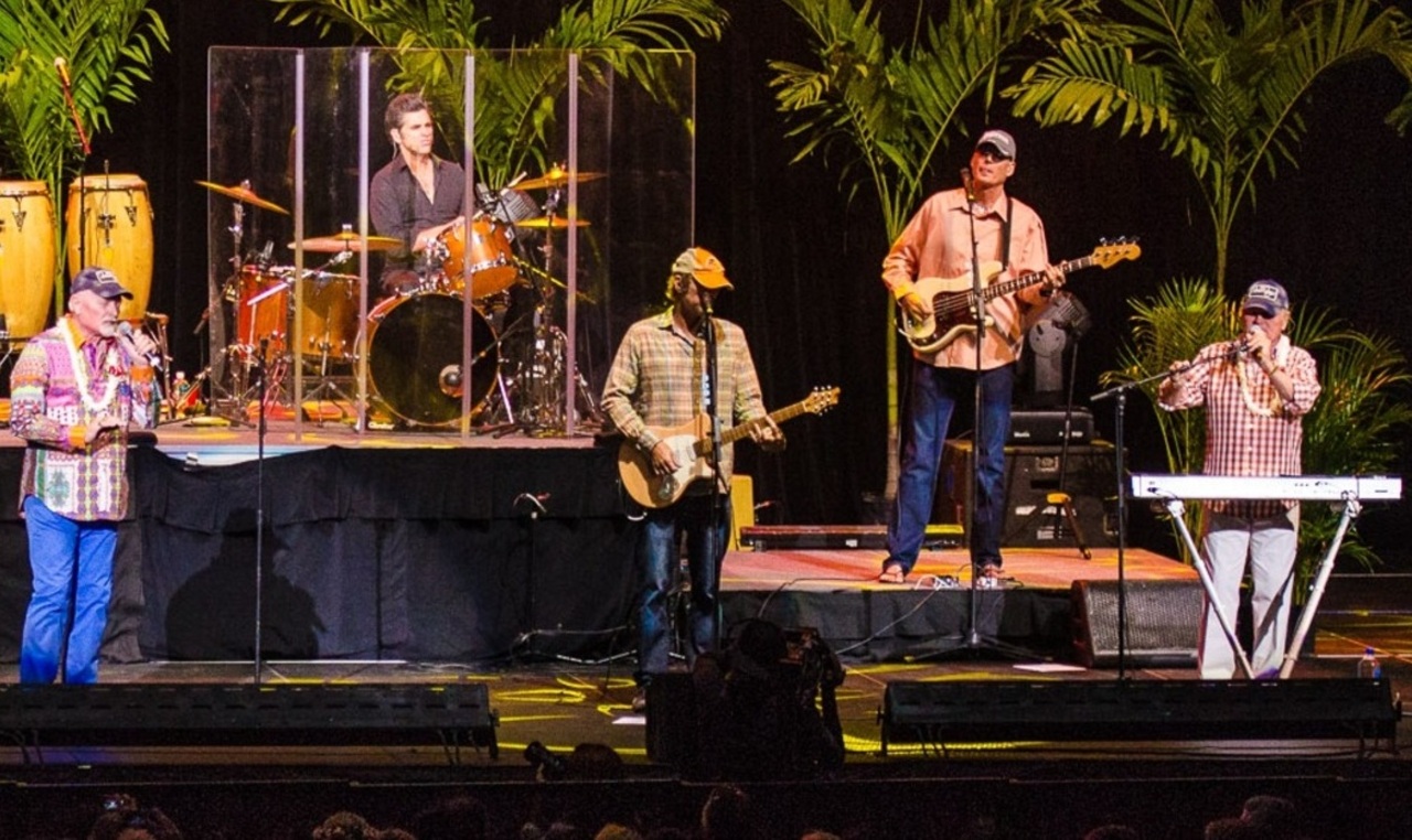 The Beach Boys by Peter Chiapperino 