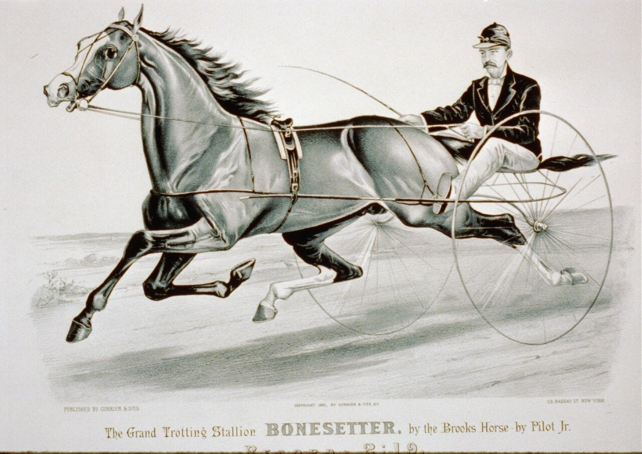 Bonesetter… (or any quote you’ve heard everywhere)