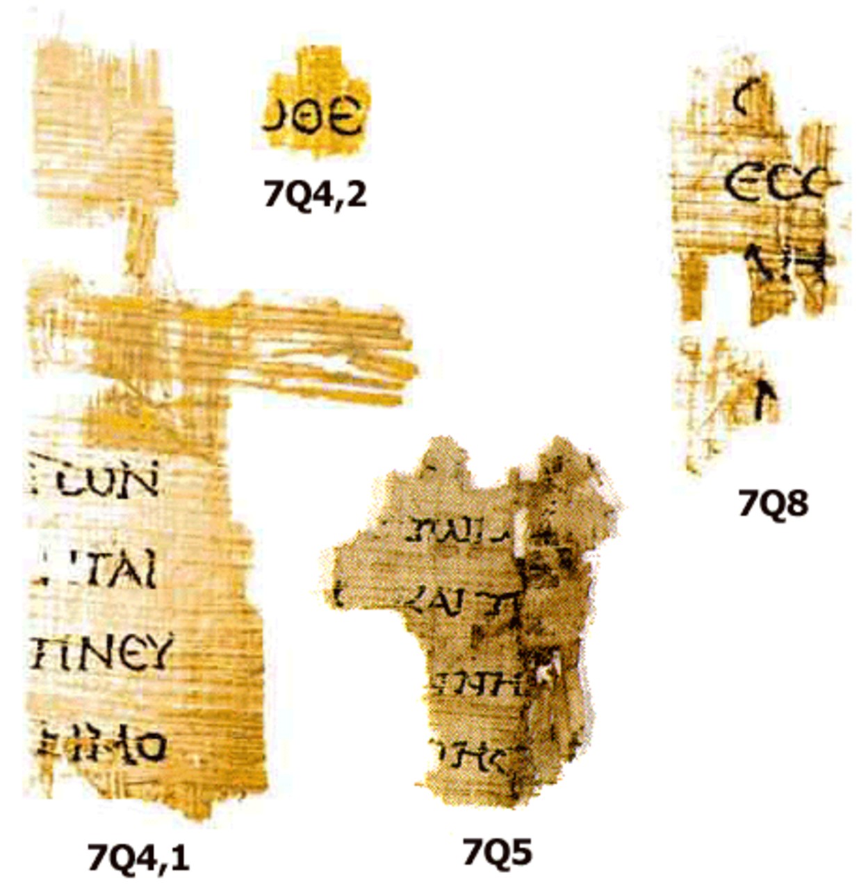 The Dead Sea Scrolls Found by Shepherds