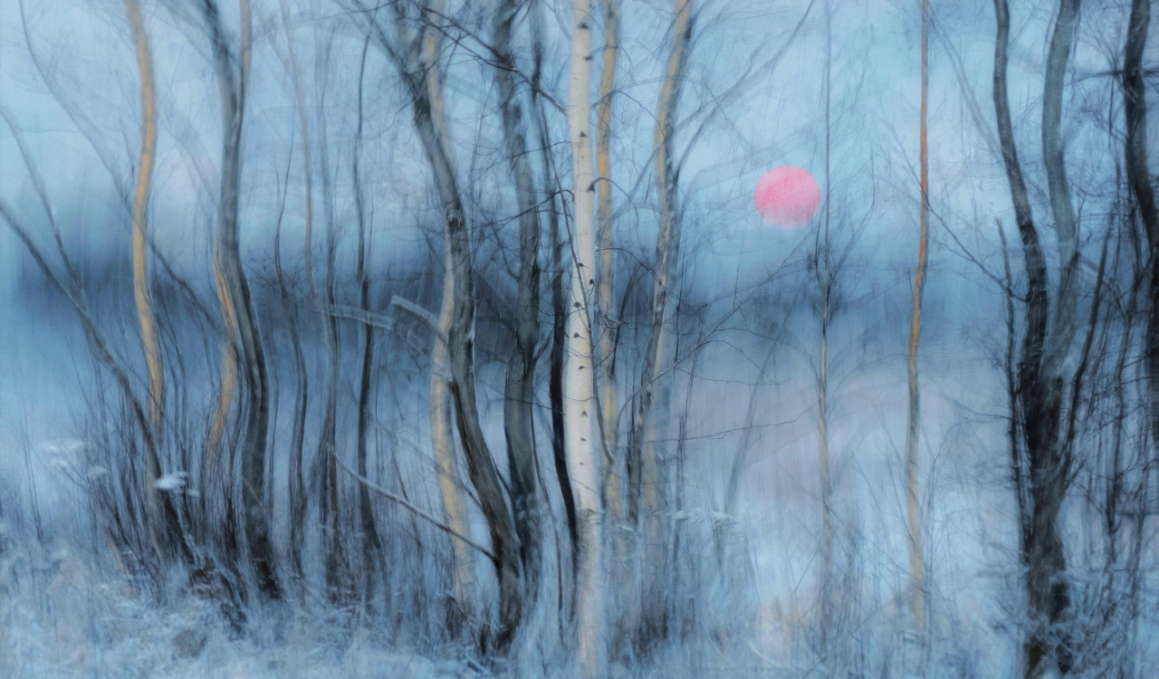 Encouraged Creative Experimentation