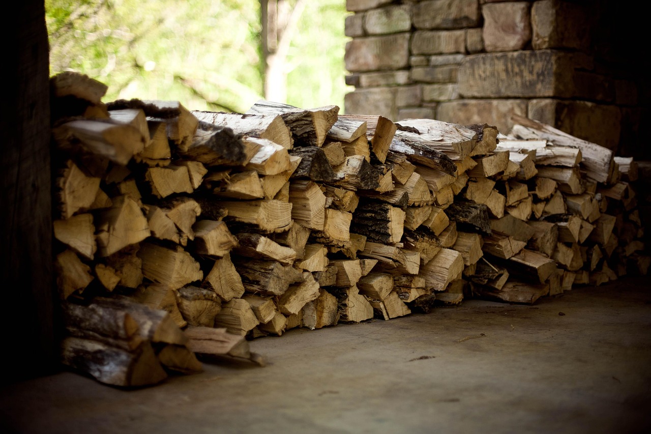 Firewood Stacked Against the House
