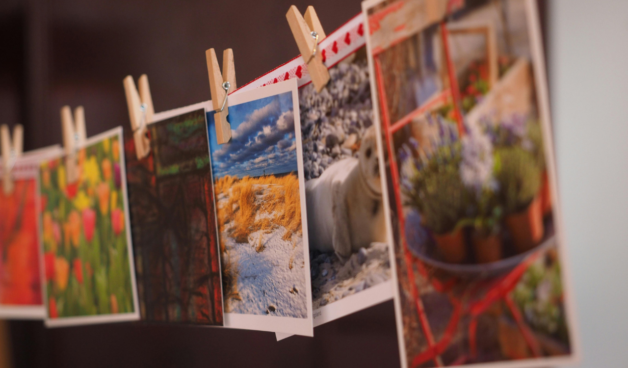 Tourists Used Them to Build a Personal Archive