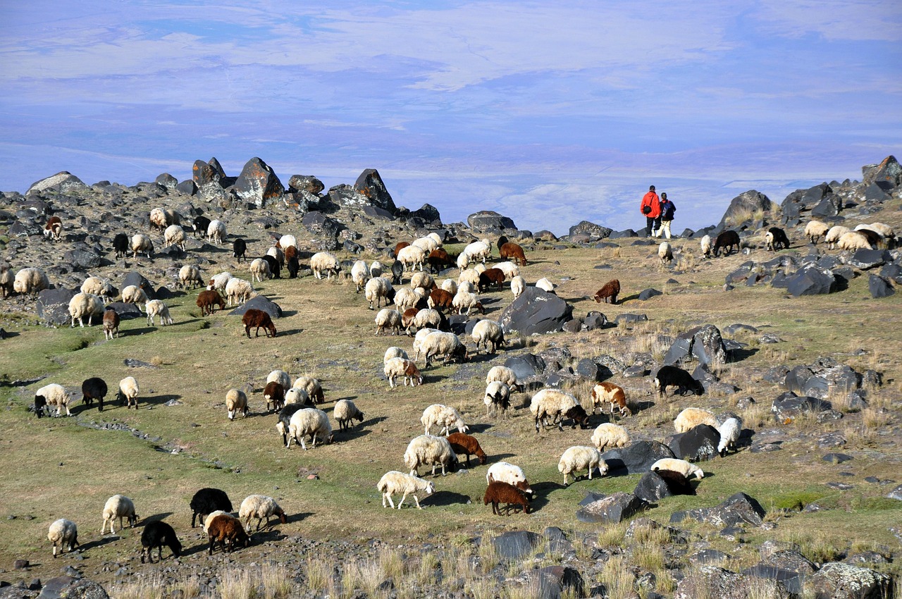 Mount Ararat Peak Restrictions, Türkiye