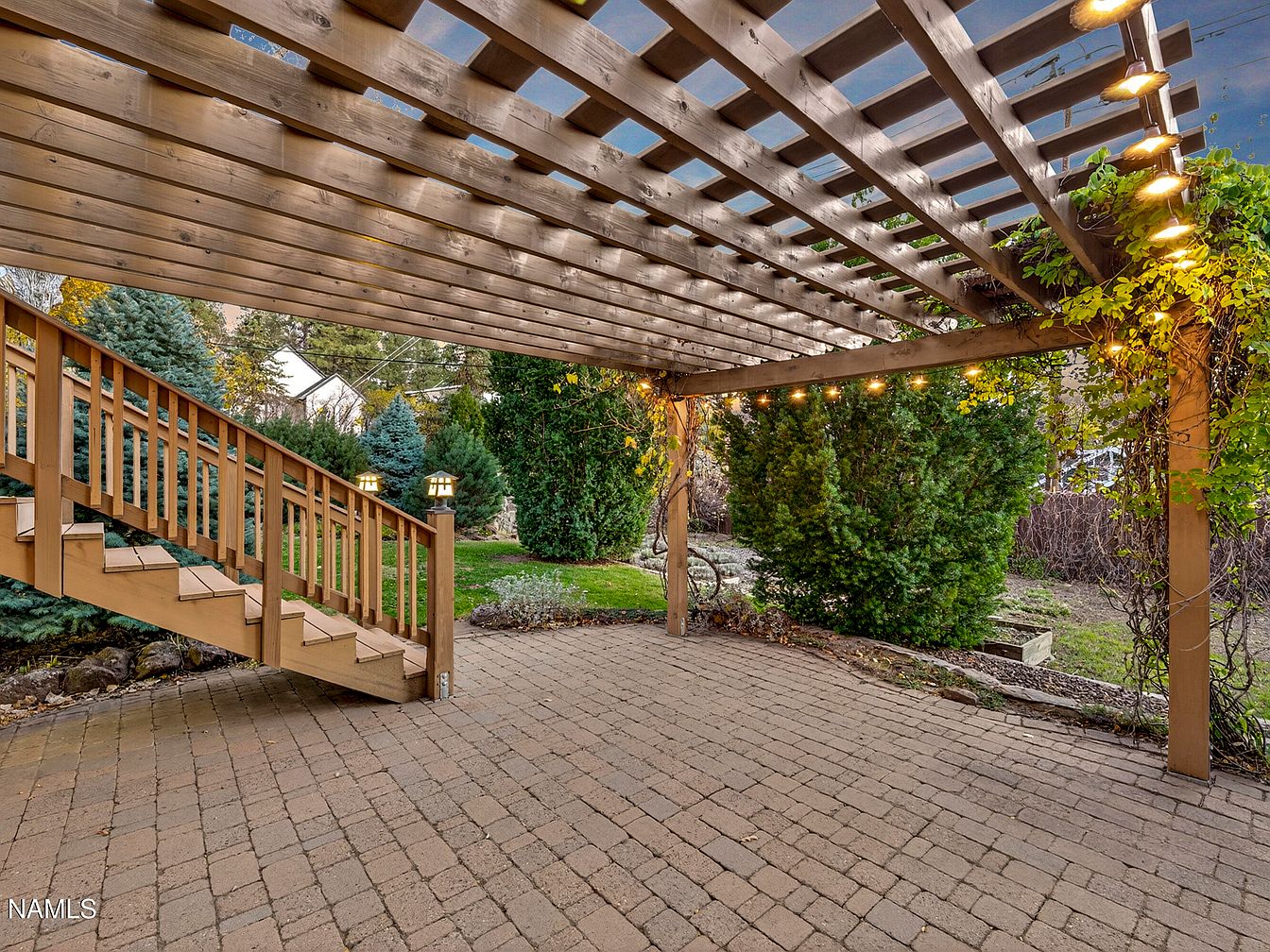 Coyotes Threading Through Side Streets