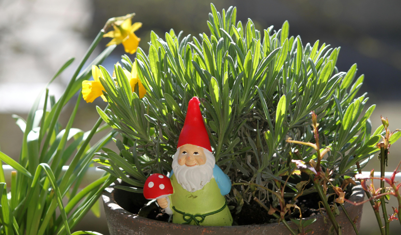  Themed Garden Gnomes
