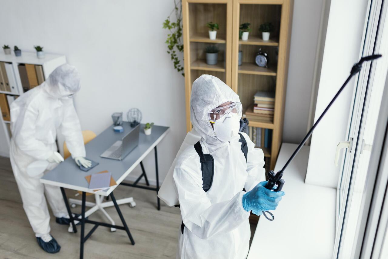 Pest Control and Extermination Services