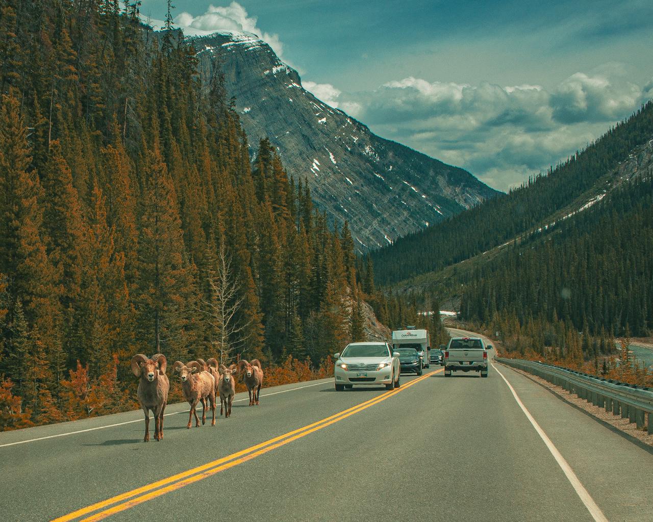 What This Project Signals for the Future of Travel