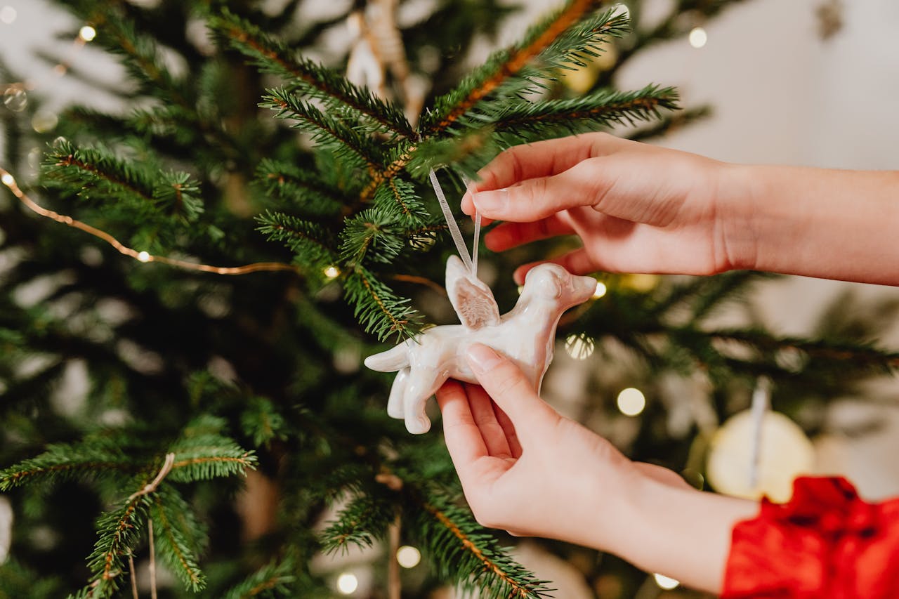 A close-up of hands hanging an ornament or setting up a cozy viewing spot.