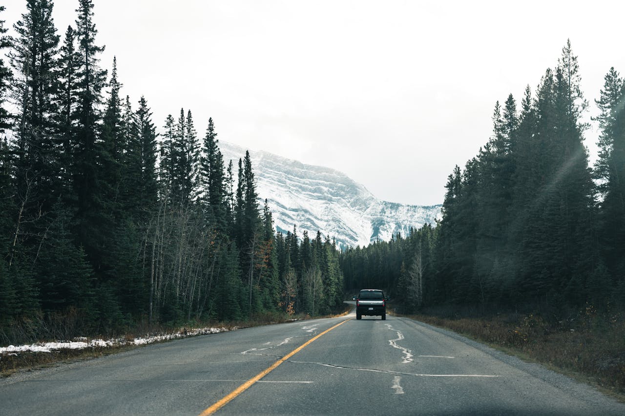 A New Wildlife Overpass Is Changing Road Trips on One of North America’s Wildest Highways