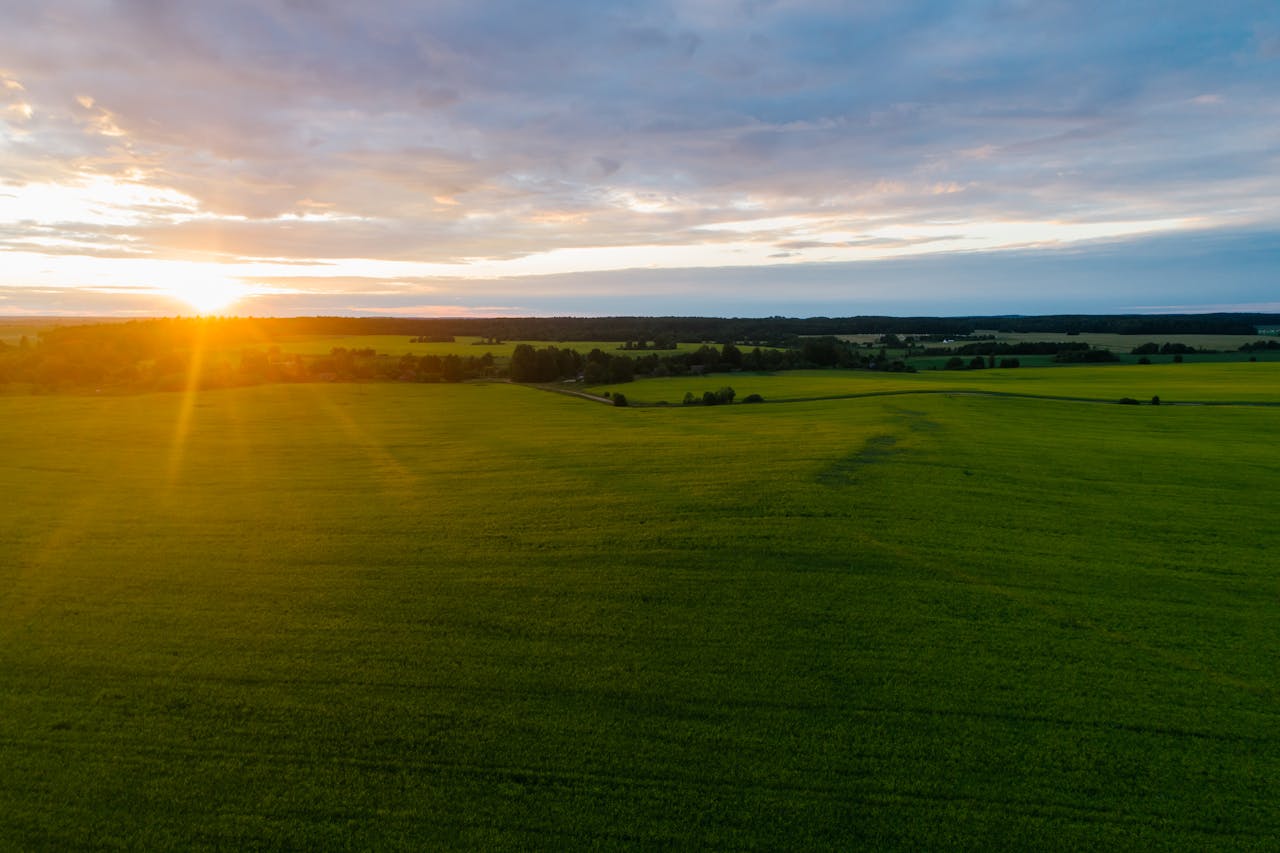 A bright sunrise over an open landscape