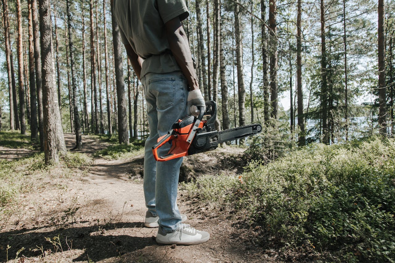 Cutting Sacred Trees