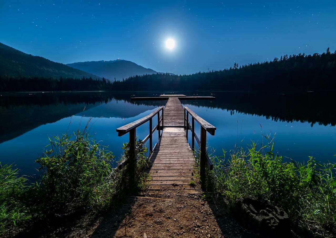 A quiet shoreline or forest at night with a visible moon reflecting on water,