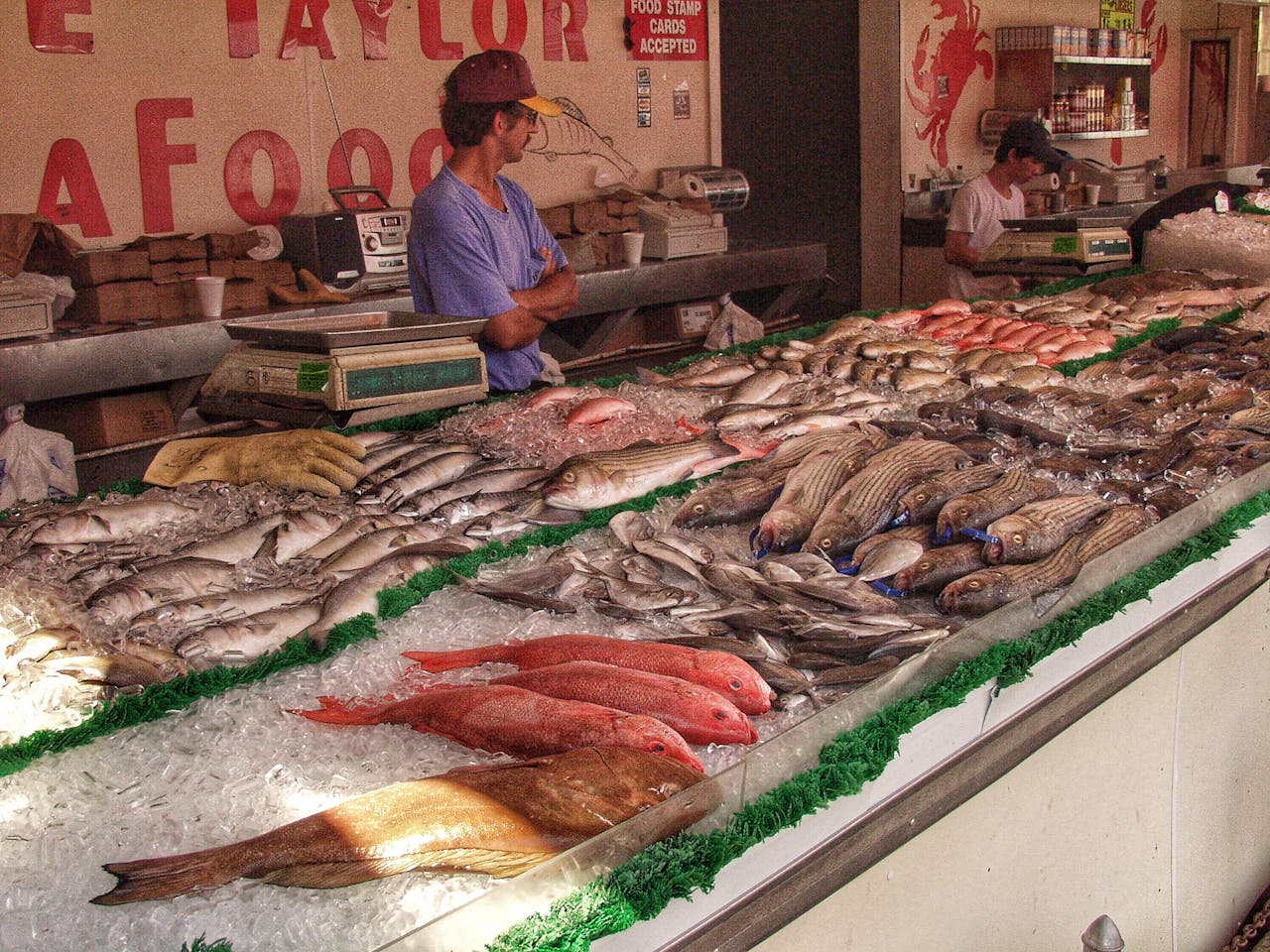 A fish market display with fresh catches on ice