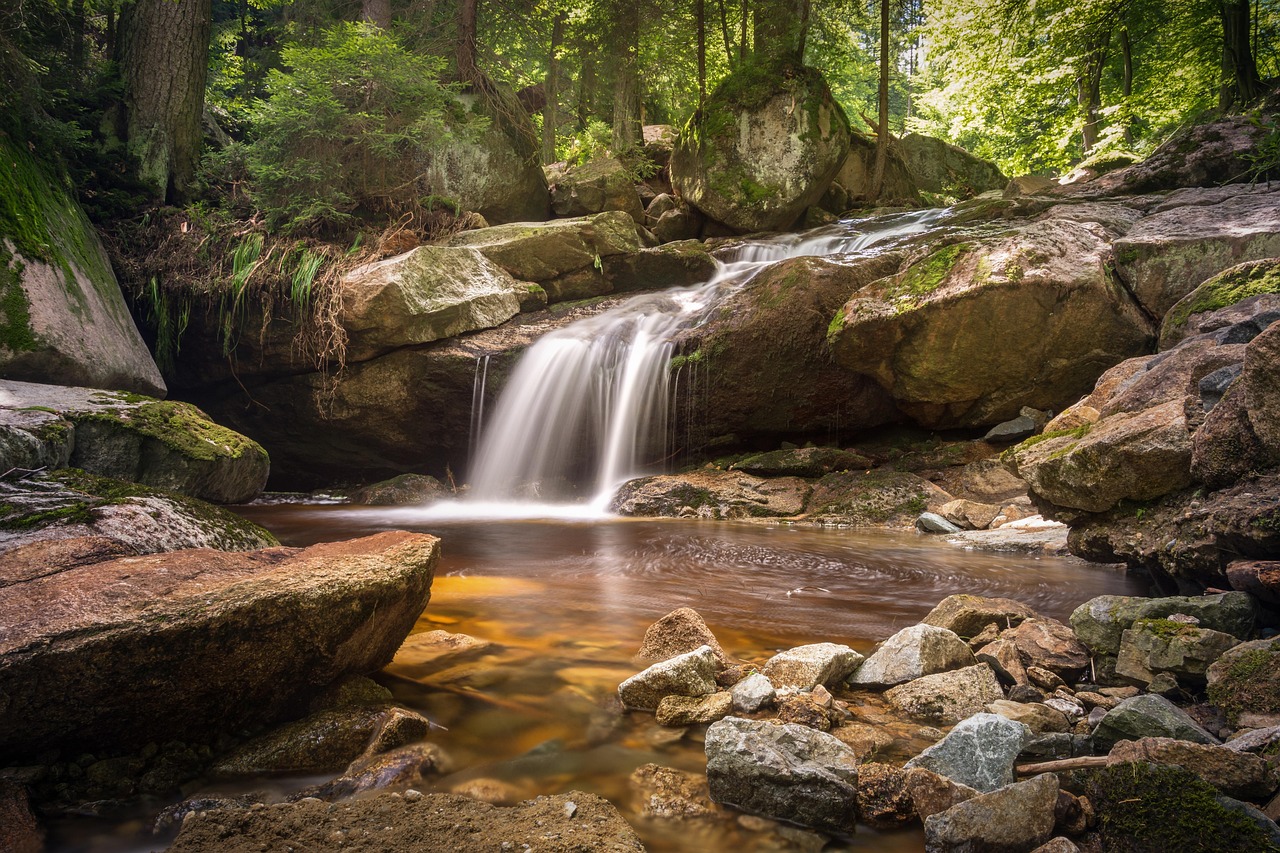 Sacred Water as a Living Presence