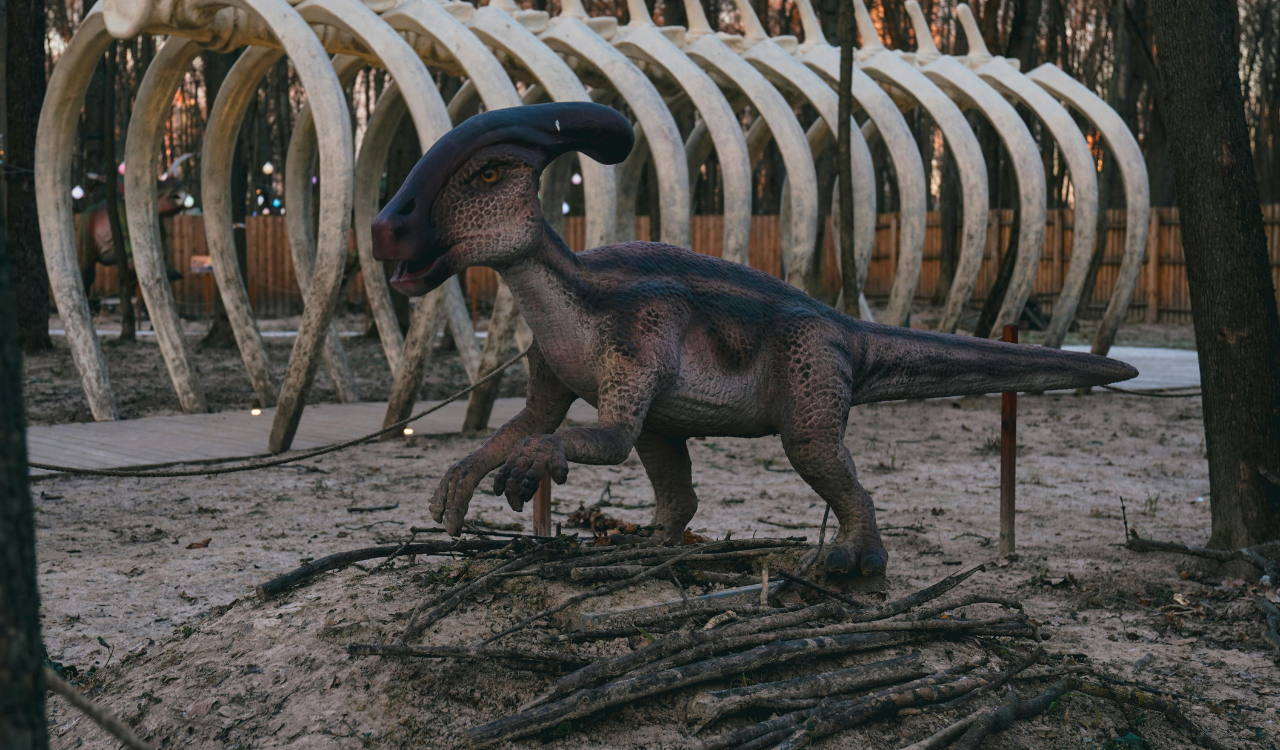 Dinosaur Parks