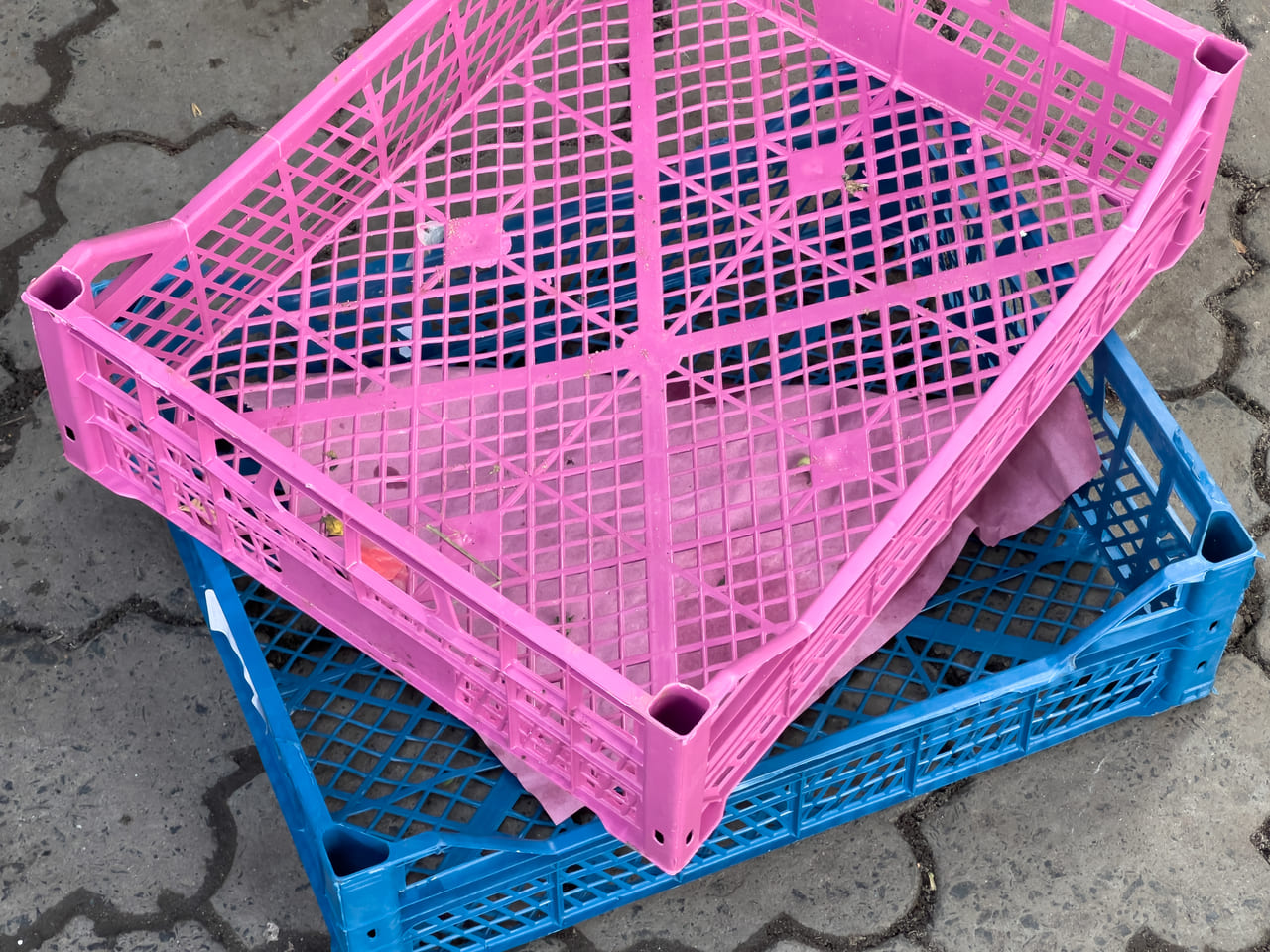 THE MILK CRATE CHALLENGE AND PUBLIC HEALTH LIABILITY