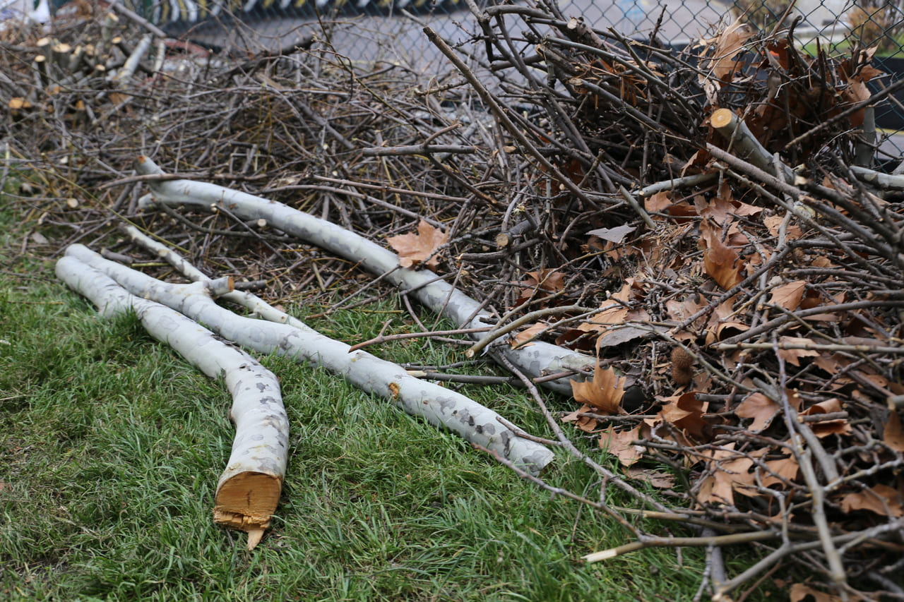 A pile of leaves and branches dumped near a stream, highlighting how yard debris disrupts water flow.