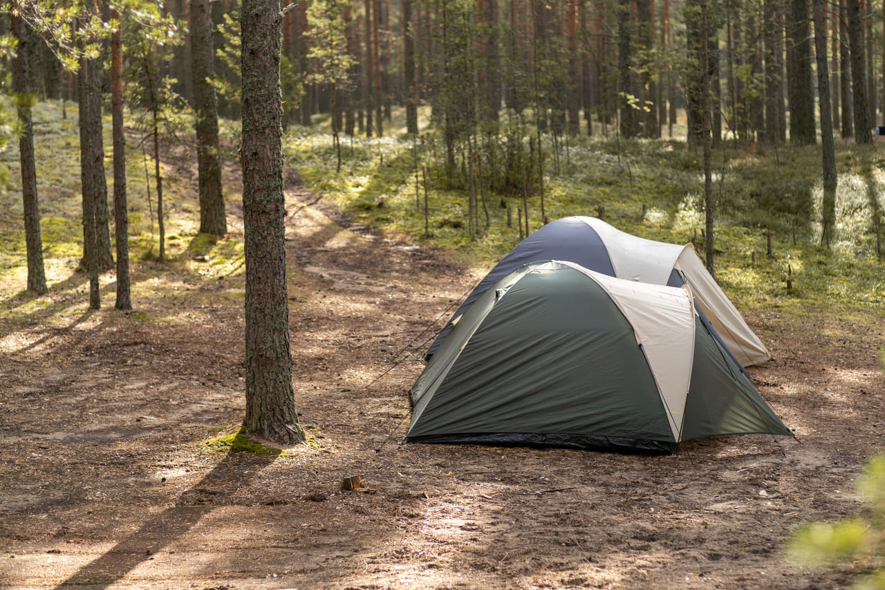 A dry campground scene with tents set up among pines