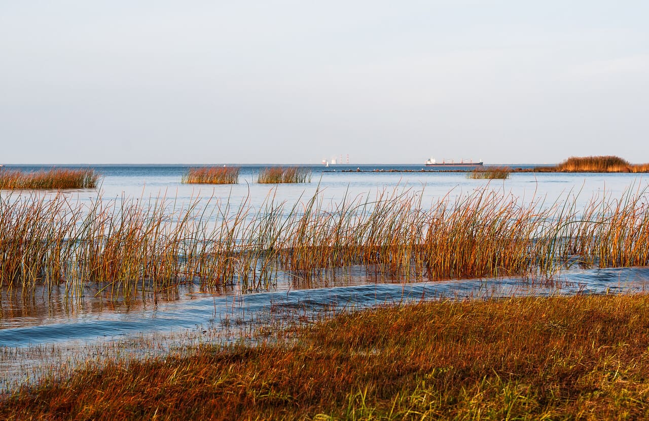  Protected Space That Feels Open