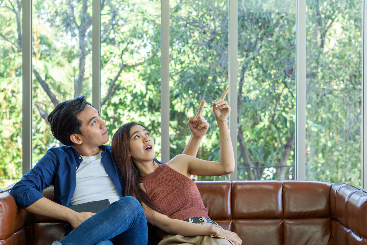 Viral “Bird Theory” Claims Most People Share One Weird Trait