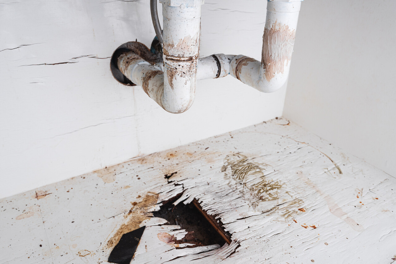 Active or Past Water Leaks