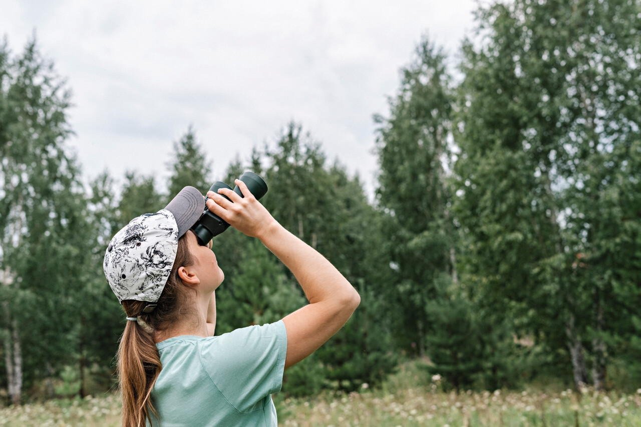 10 Old-School Hobbies Making a Comeback Because Screens Feel Exhausting